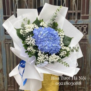 Từng Là - HB059