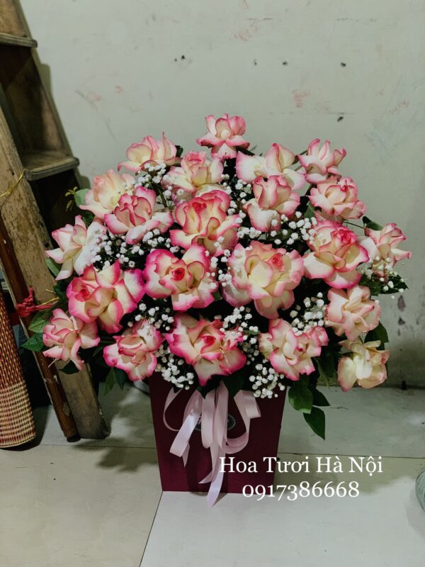 Mùa Xuân Đến - HG013
