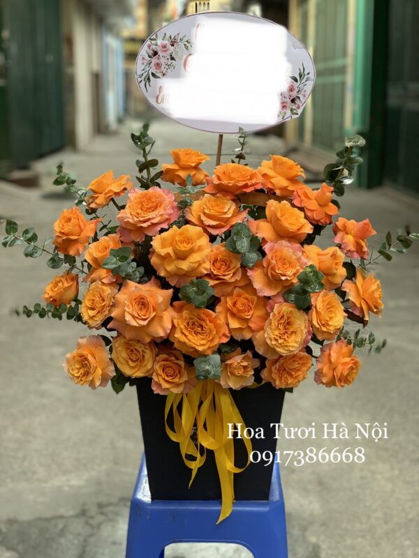 Sắc Cam - HG014