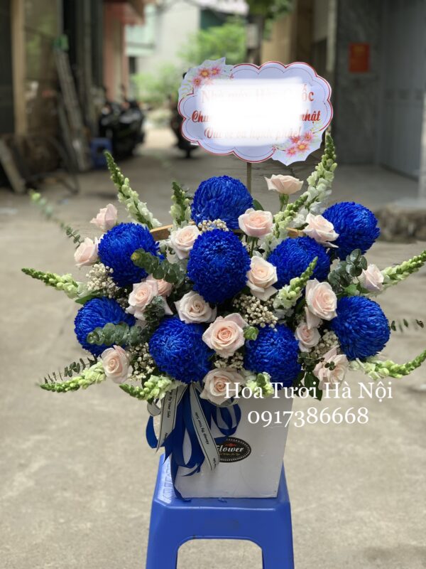 Tinh Tế- HG006