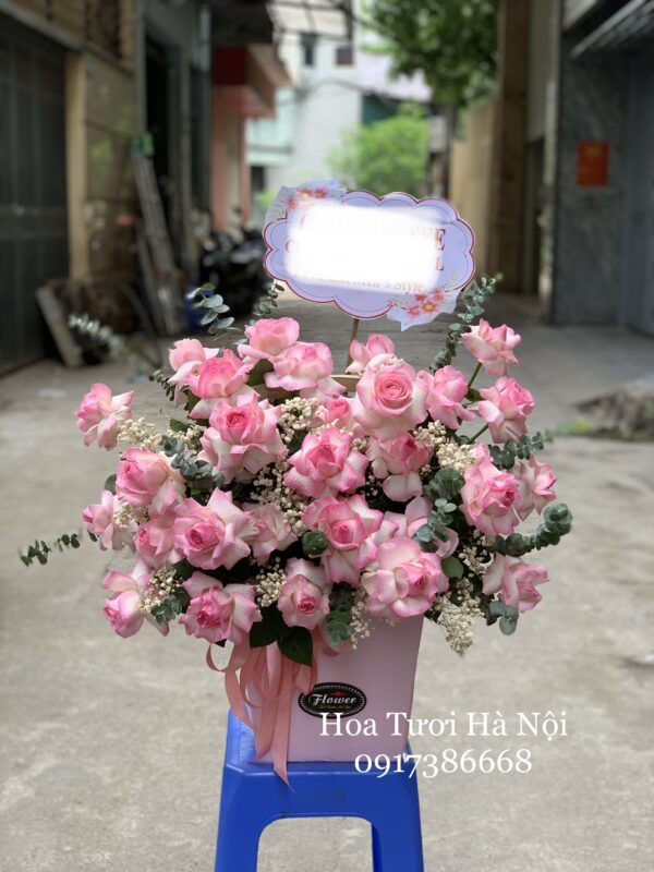 Ngày Anh Đến -  HG015