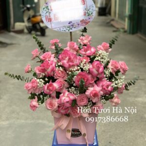 Ngày Anh Đến -  HG015