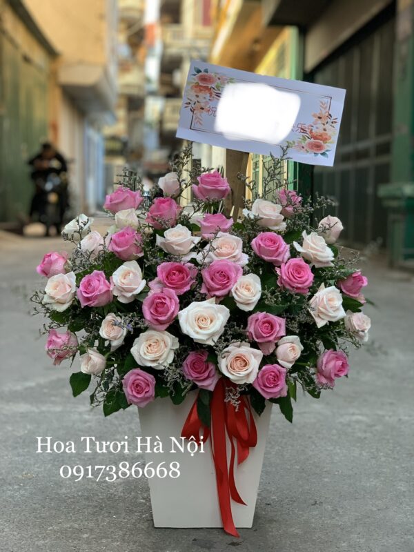 Yêu Đơn Phương -  HG023