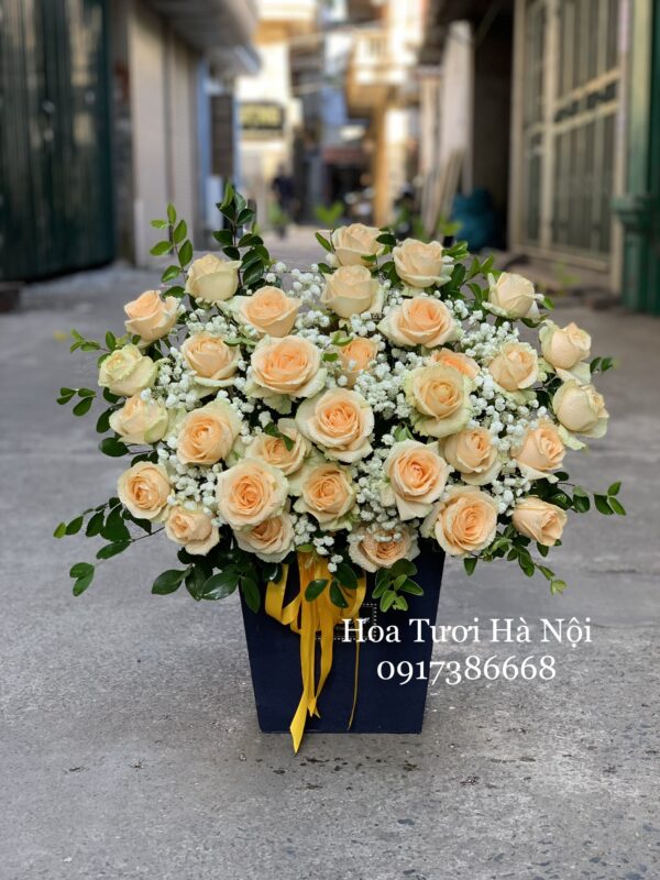 Nhiệt Huyết Bùng Cháy - HG009