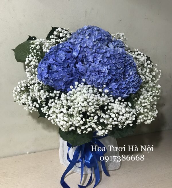 Trái Tim Của Gió - HG021