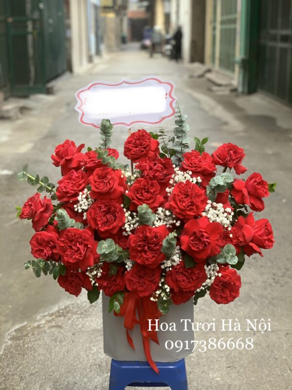 Tình Yêu Rực Rỡ - HG004