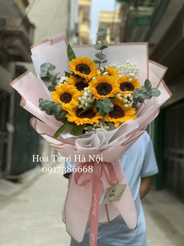 Mặt Trời Trong Anh - HB008