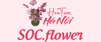 Hoa Tươi Hà Nội Giá Rẻ