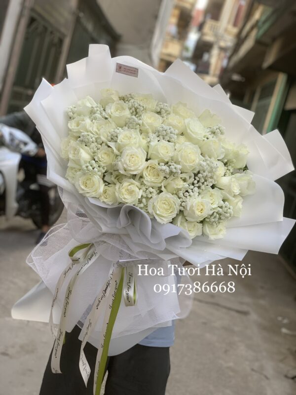 Nặng Tình - HB053