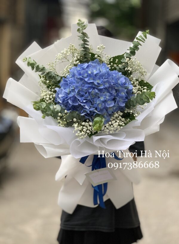 Từng Là - HB059
