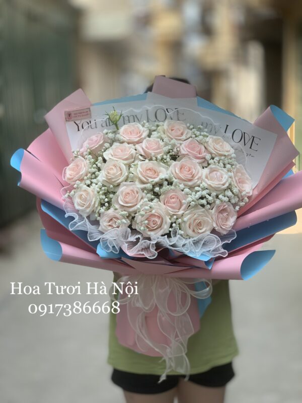 Pháo Hồng - HB063