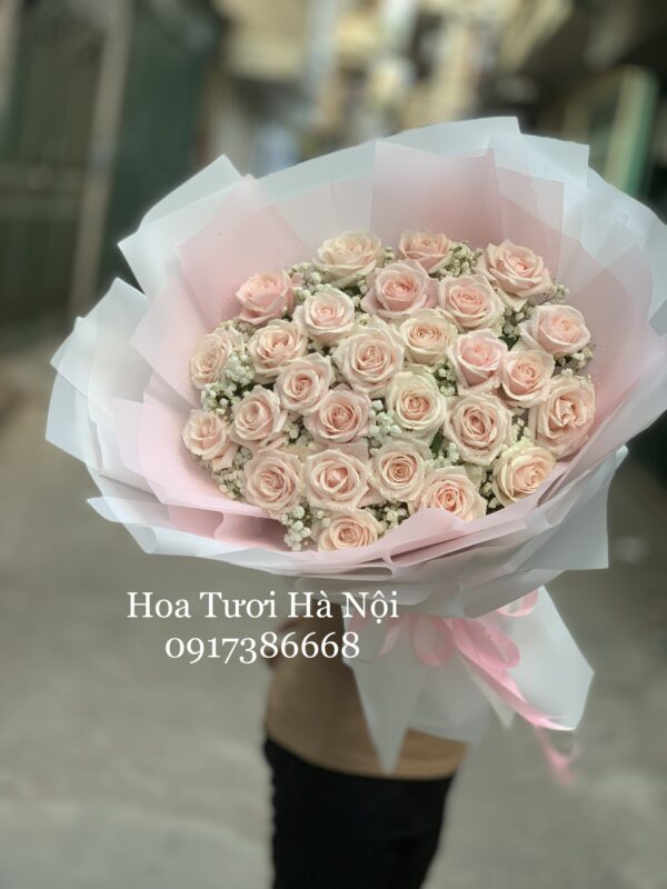 Nhân Tình - HB079