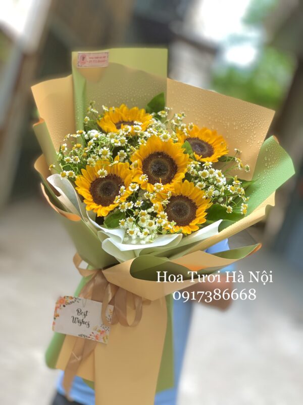 Hướng Về Anh - HB082
