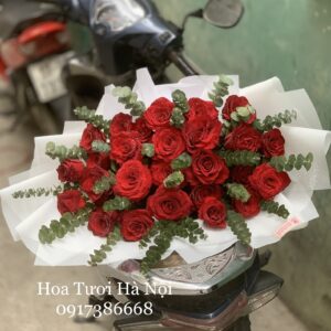 Vô Tình Thương Nhau - HB0101