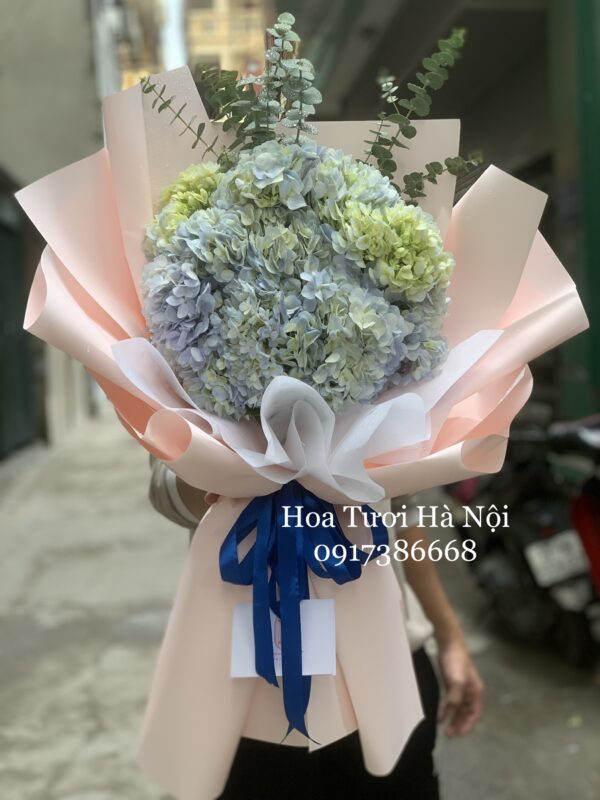 Cẩm Tú Cầu 2 - HB0116