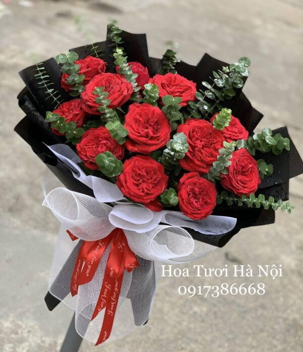 Cập Bến - HB0129