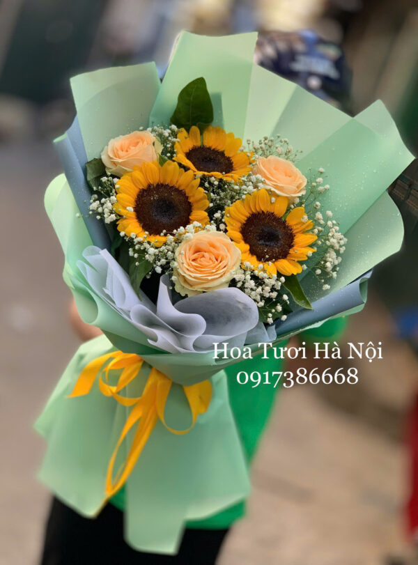 Ánh Dương - HB0141