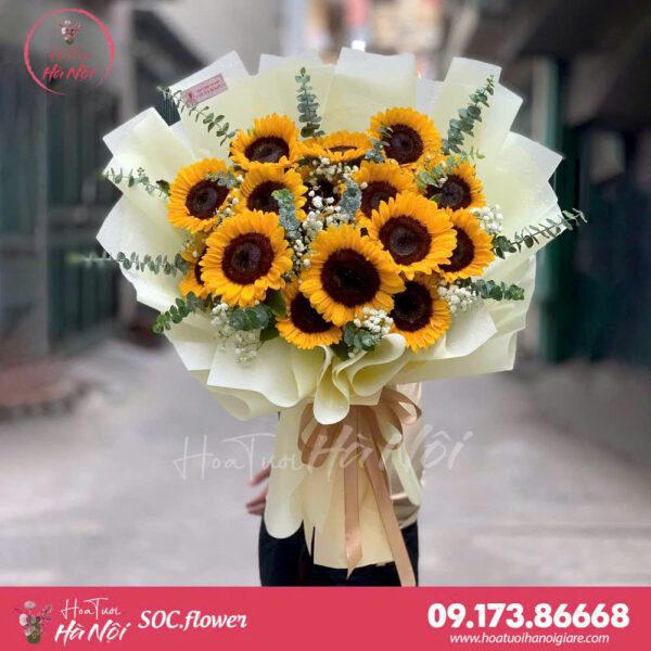 Hướng Mặt Trời - HB0146