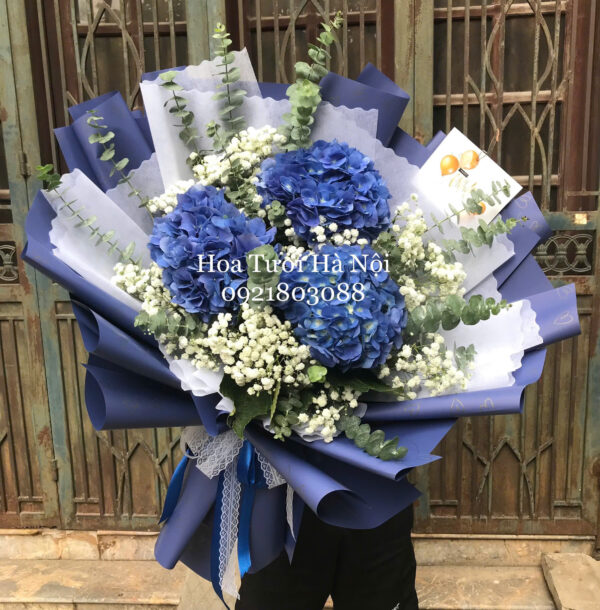 Cẩm Tú Cầu Xanh - HB0179