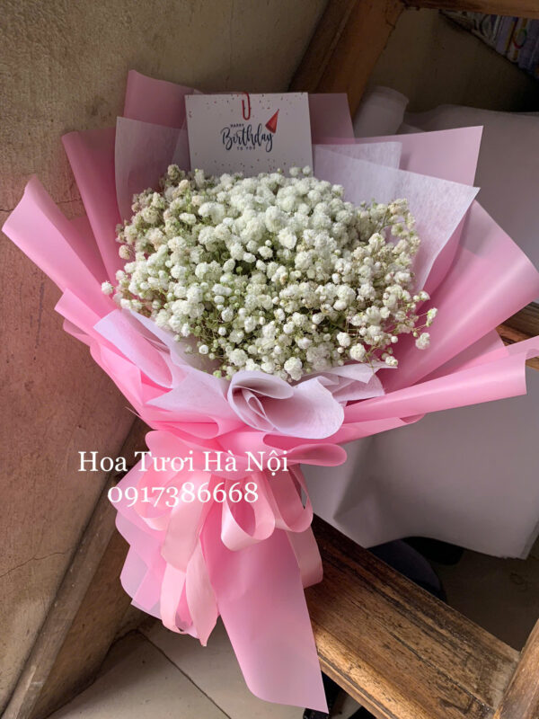 Baby Trắng 3 - HB0222