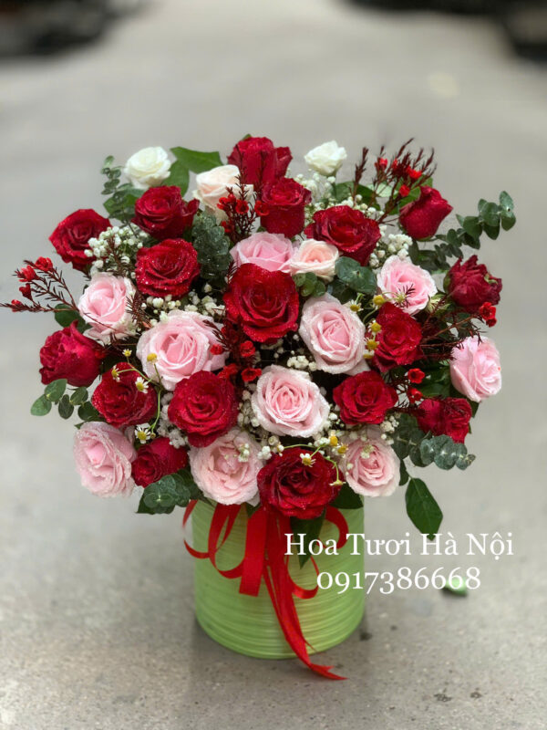 Sắc Môi Em Hồng - HG046