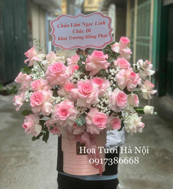 Áng Mây Hồng - HG048