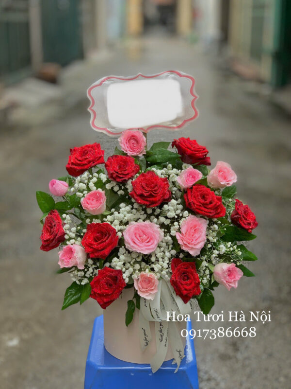Bật Tình Yêu Lên - HG032
