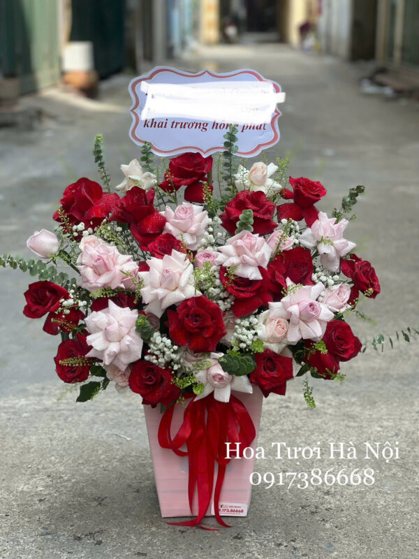 Bồng Bềnh - HG066