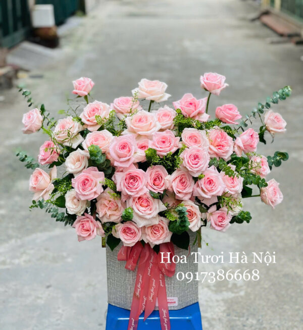 Giấc Mơ Hồng - HG065